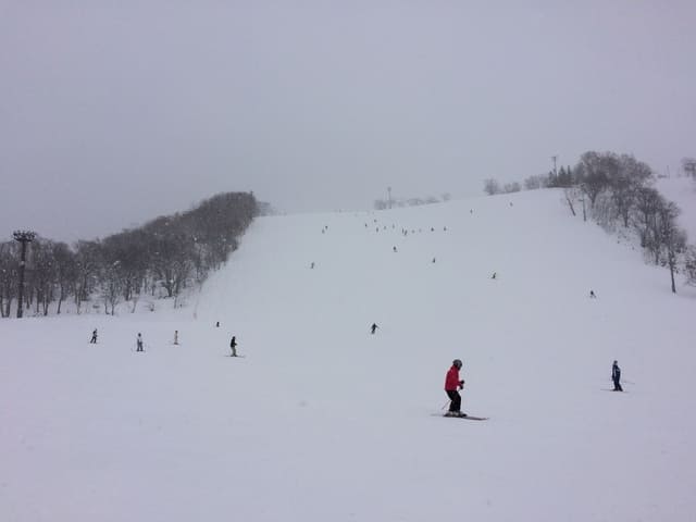 【岩手・秋田】たざわ湖スキー場